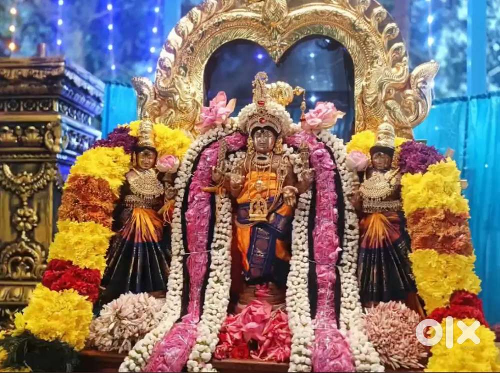 Wanted sales girls or women for provisional stores