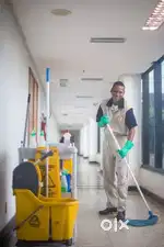 Cleaning and house keeping
