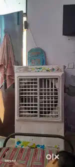 Cooler1 year old