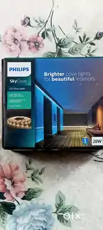 LED strip lights and Spotlight (PHILIPS)