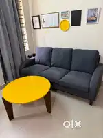 Ikea sofa + center table