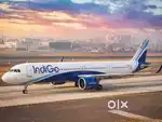 URGENTLY JOB VACANCY IN AIRPORT GROUND STAFF/CABIN CREW APPLY NOW
