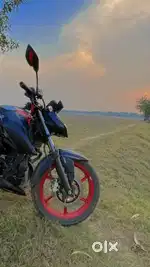 Apache RTR 4v Special Edition