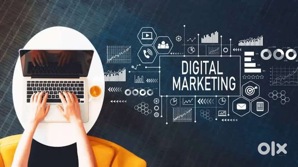 Fresher or intern required for Digital marketing work
