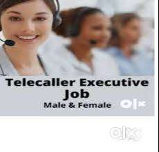 Collection Telecallers and field executives