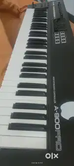 Roland a800 pro keyboard musician instrument