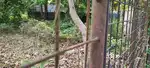 Plot in Cherthala