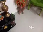 House hold things for sale