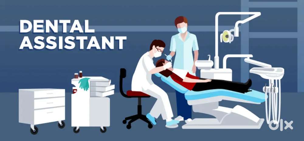 Dental assistant needed for a newly opening dental clinic in pallimukk