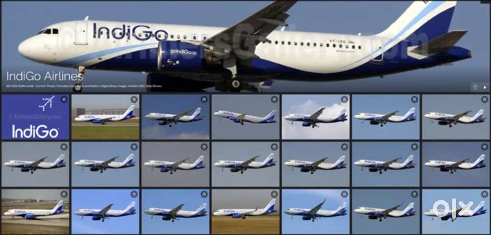 Indigo Airlines jobs /Vacancy for Airport Ground staf / Driver / Crew