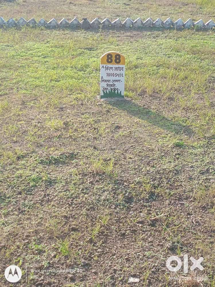 For rent purpose give to plot