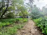 1 Acre 6 cents  residential plot for sale at Kumblangi.