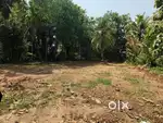 Land for Sale Near Anchumoorthi Temple, Ayiroor, Varkala