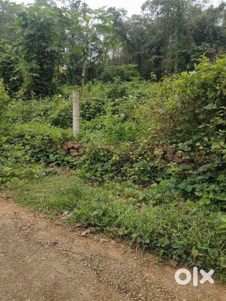 Plot for sale pampady