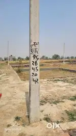 plot for sell in low price