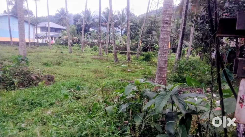 16 cents Road Frontage Land for Sale near Pathanamthitta town