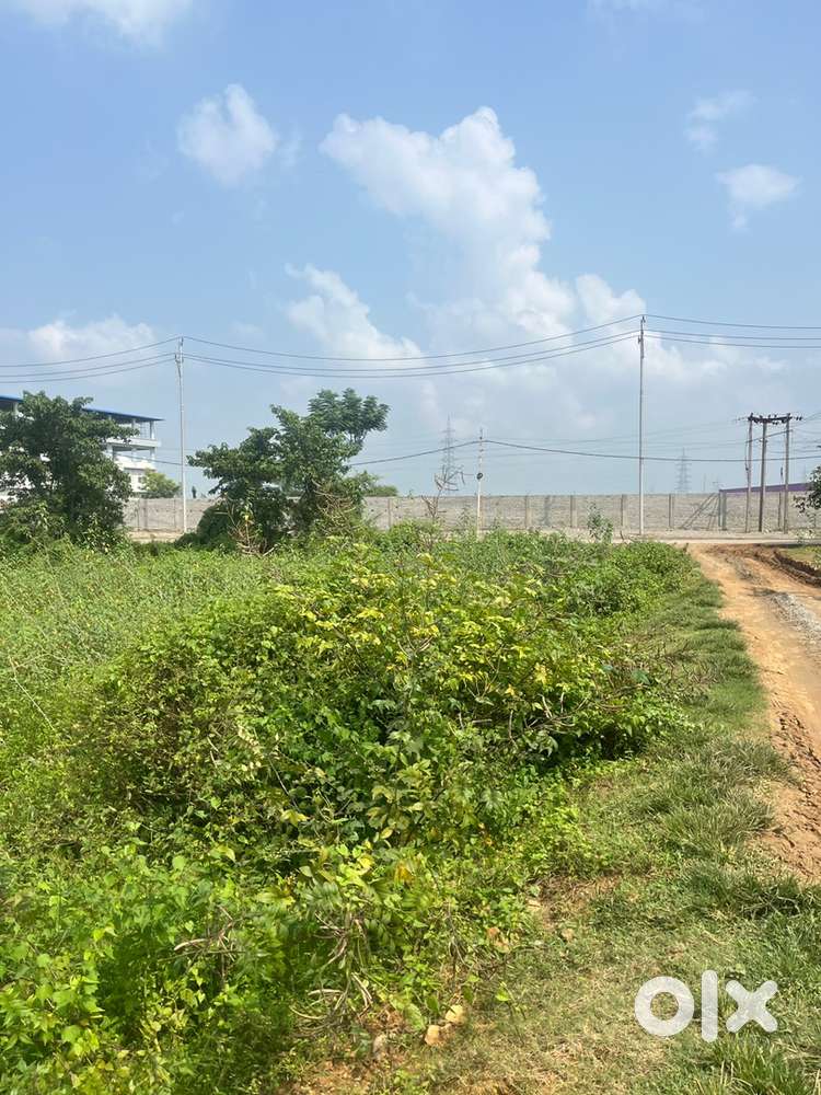 1 bigha myadi Land for sale