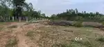 Avadaipoigai investment land available
