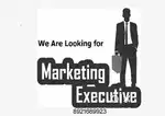 WANTED MARKETING EXECUTIVE
