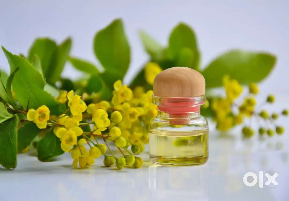 Hiring Wellness & Spa Assistant – Training and Cab Facility Provided