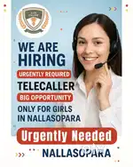 Telecaller job girls only