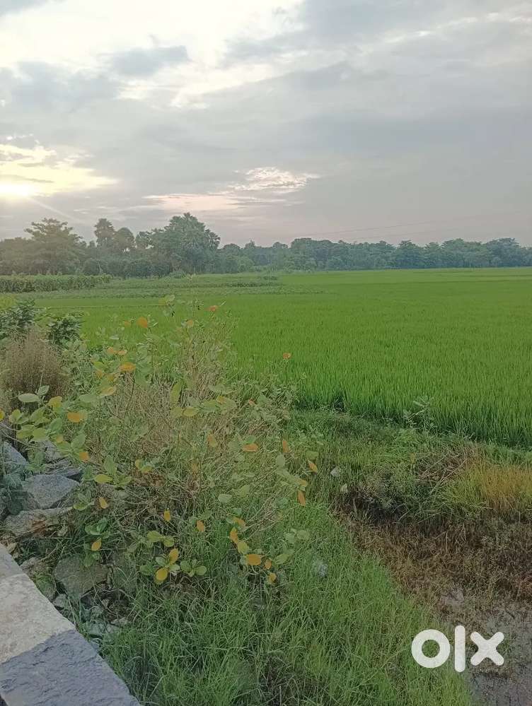 Punaura Mandir se matra 2.5 Km