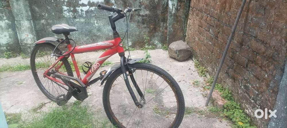 Ranger(only 2 yr old )