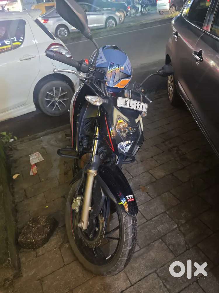4 Year Old RTR for Sale