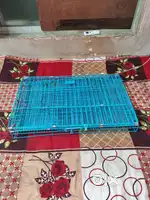 Dog and cat cage
