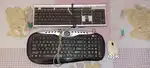 2 keyboard and 1 mouse.