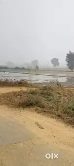 Agricultural Land  20 biga jamin saraya  16 futa