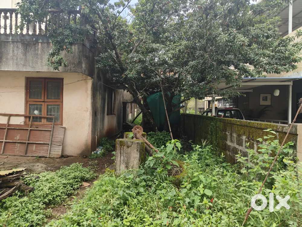 Buda layout 40*60 plot for sale 24hr water with old house.