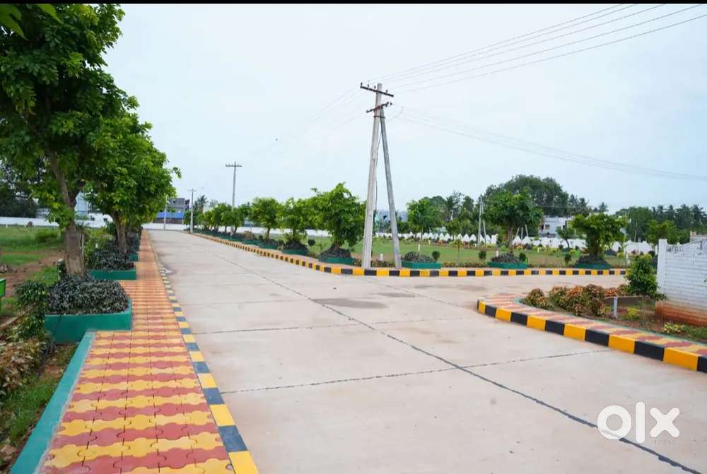 పెద్దాపురం లో 24 ఎకరాల గేటెడ్ కమ్యూనిటీ వెంచర్