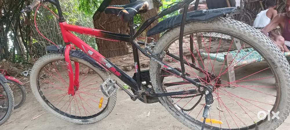 P Star 2025