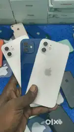 iPhone 12 full lot