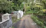 മൂക്കന്നൂർ ടൗണിനു സമീപം 60 സെന്റ് സ്ഥലം വില്പനക്ക്
