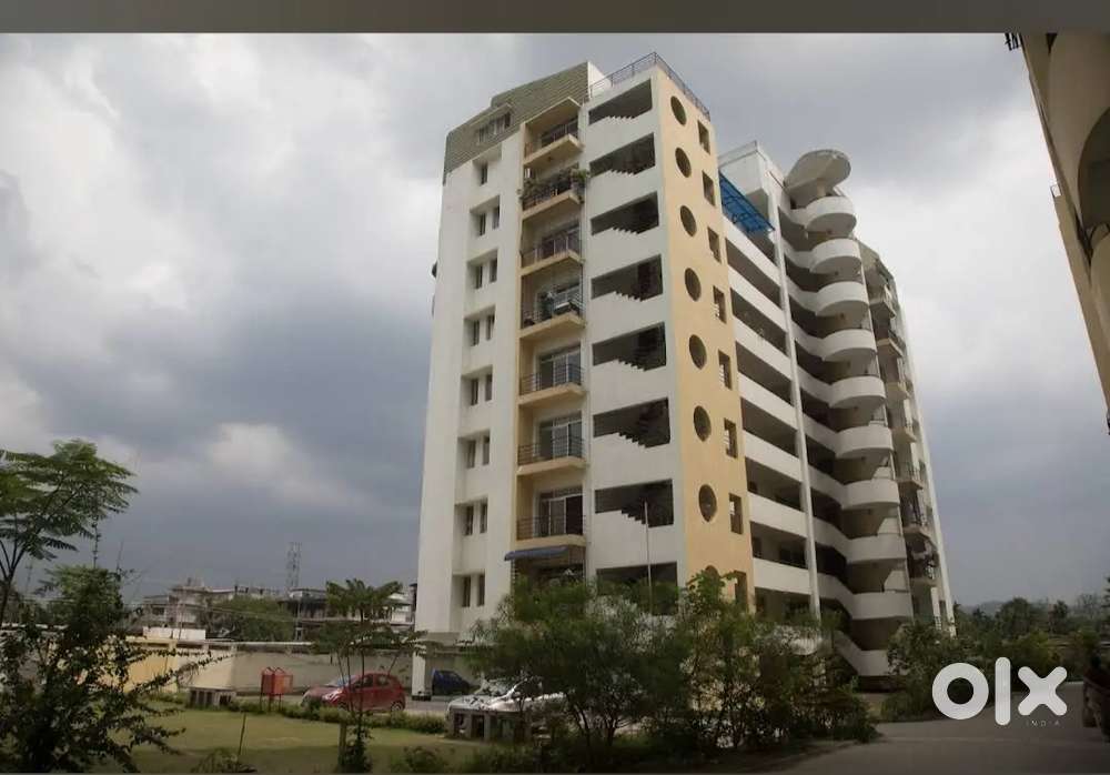 Fully indipendent apartment(flatmate)