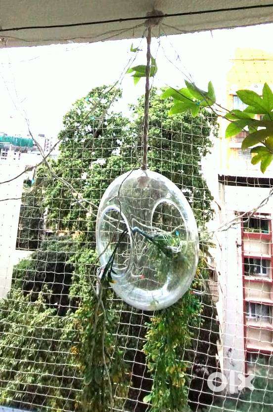 Home or Balcony Hanging - Crystal Ring