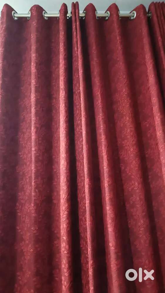 Door Curtain