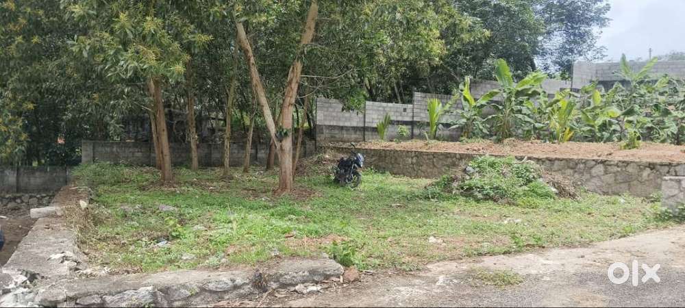5.2 Cent Residential Plot  Korani