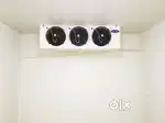 cold storage for rent 800 sq ft