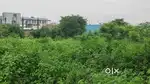 Industrial Area Plot