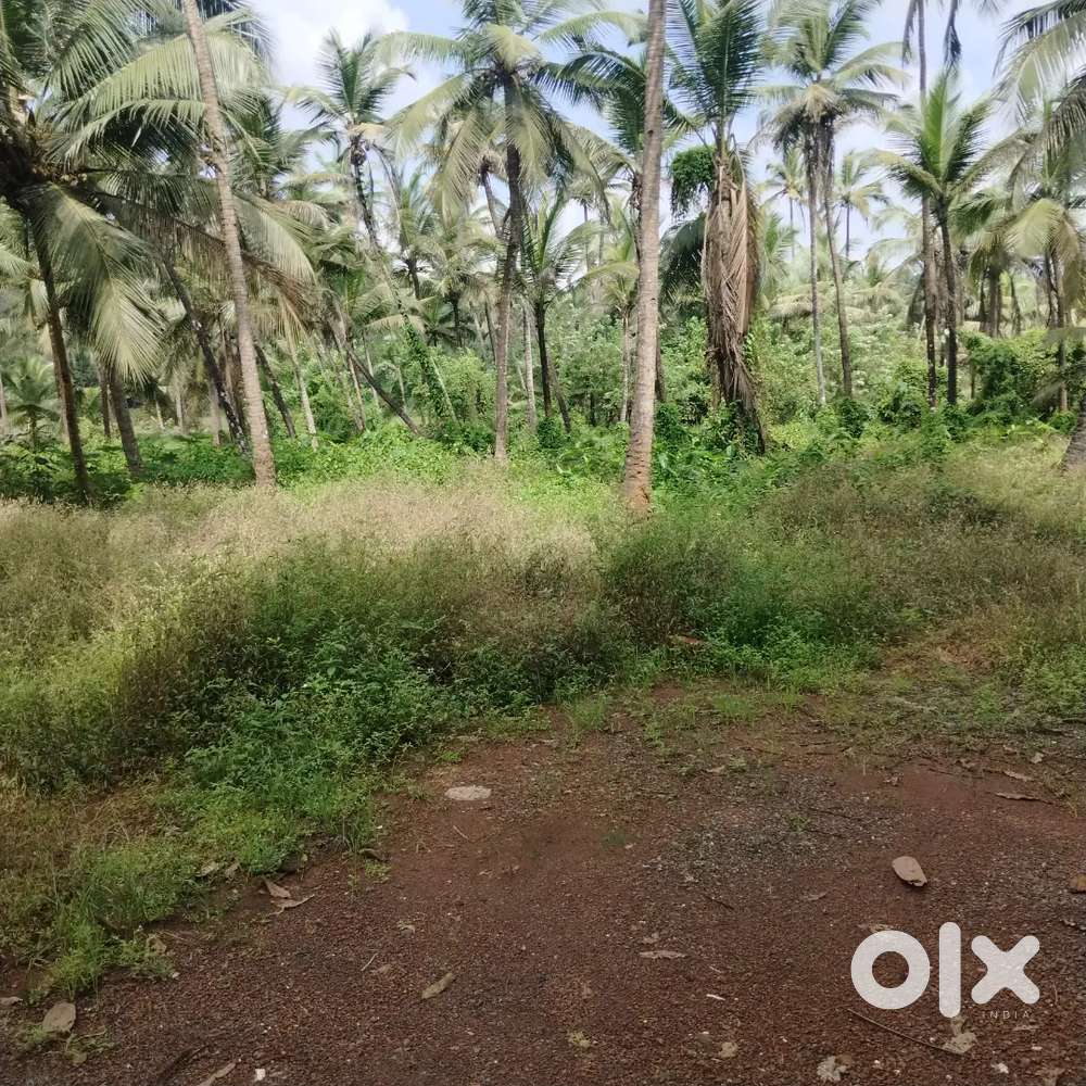 817m2 Field View Plot for Sale in Sancoale, South Goa