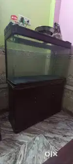 Glass & tank aquarium