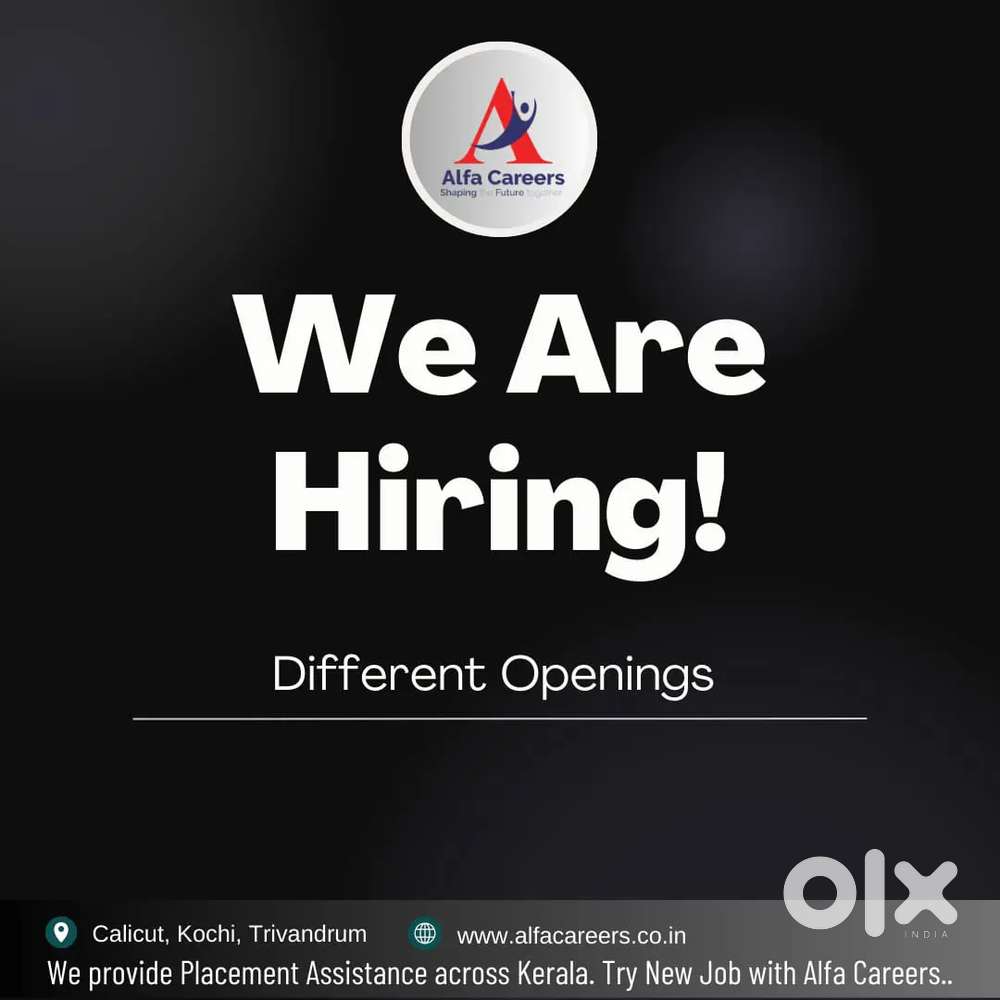 Fresher Office Job Opening
