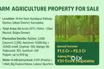 Profitable Agriculture Estate for Sale – 69 Acres – Udupi District