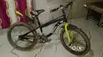 Best quality cycle