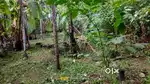 വീട് വെക്കുന്നതിനും കൃഷി ചെയ്യുന്നതിനും ഉത്തമ സ്ഥലം.