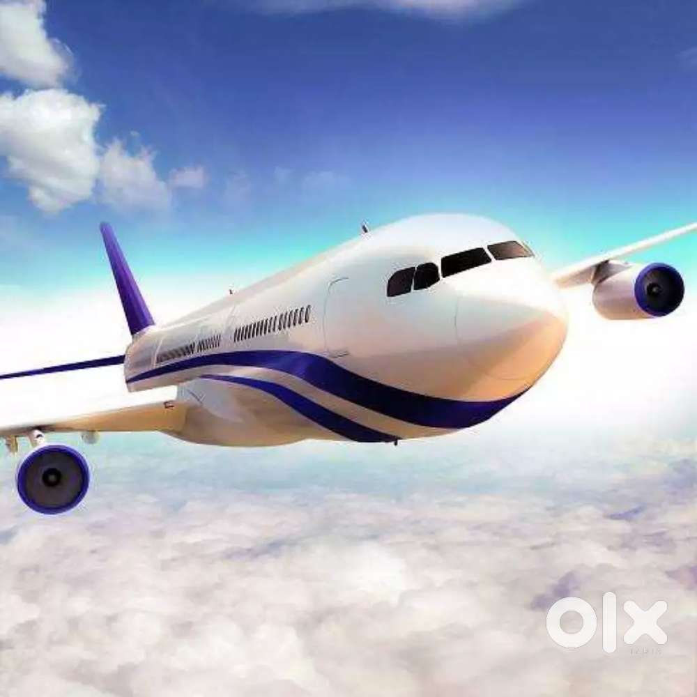 URGENTLY JOB VACANCY IN AIRPORT GROUND STAFF/CABIN CREW APPLY NOW