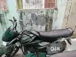 Tvs 2014 8 year old